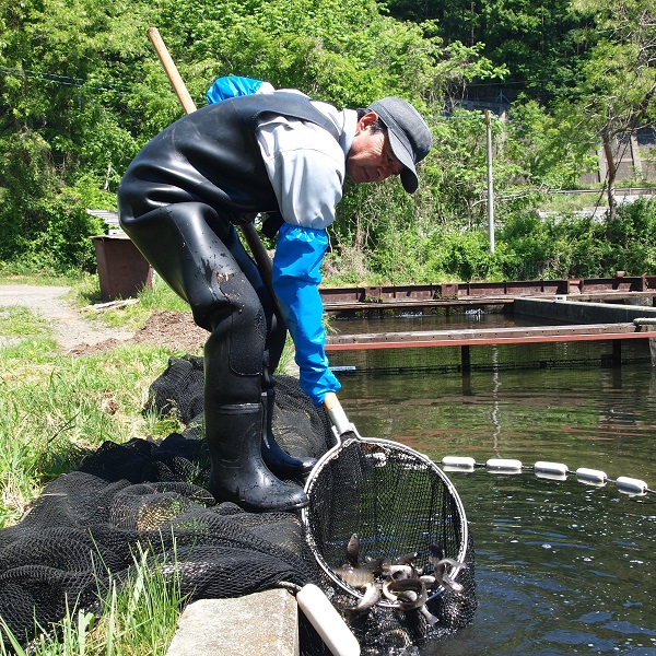 写真